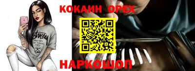 спиды Камышлов