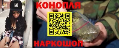 спиды Камышлов